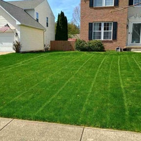 grass cutting by Abney's lawncare reviewed on October 3, 2024