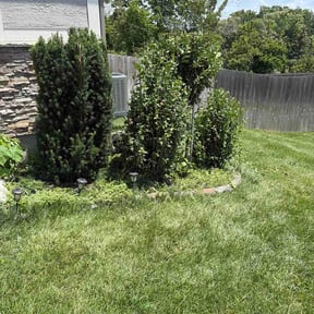 Bush Trimming by Perry’s Landscaping LLC reviewed on June 12, 2026