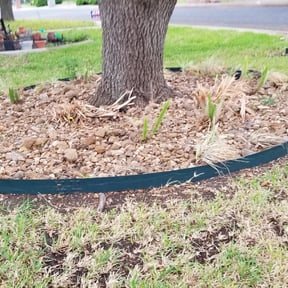 Leaf Removal by Buckeye lawn maint reviewed on August 21, 2025
