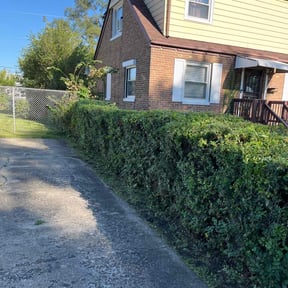 Bush Trimming by Blessed Lawn Care Services & Odd Jobs reviewed on August 20, 2025