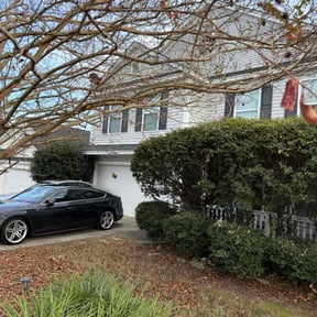 Bush Trimming by Stack Lawn Care and More LLC reviewed on November 23, 2025