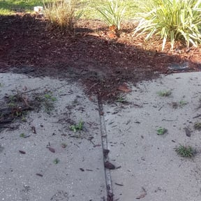 Flower Bed Weeding by Local Green Lawn Care LLC reviewed on August 16, 2025