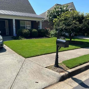 landscaping by Turpins Lawn Service reviewed on August 16, 2025