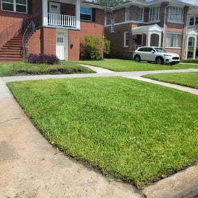 gardening service by LSLTDallas/FortWorthTruGreen reviewed on August 16, 2025