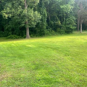 yard maintenance by Cherry Bomb Lawn Care reviewed on August 16, 2025