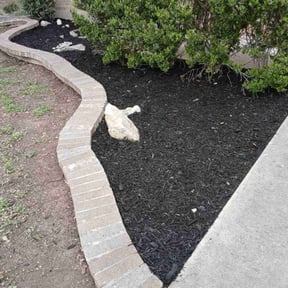 Mulching by Family Lawn Care reviewed on August 15, 2025