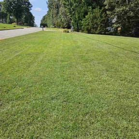 yard service by Towery's Lawn Care reviewed on April 20, 2022