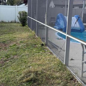 Bush Trimming by LawnStar reviewed on December 24, 2025