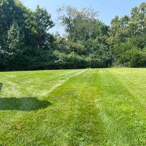 turf maintenance by Lewis Lawncare &amp; More reviewed on May 9, 2025