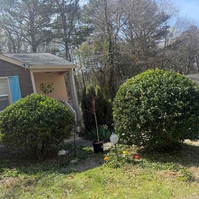 Bush Trimming by Chad Suenram reviewed on March 30, 2026