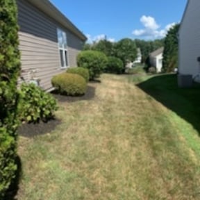 Bush Trimming by Brooks lawn Care reviewed on August 17, 2025