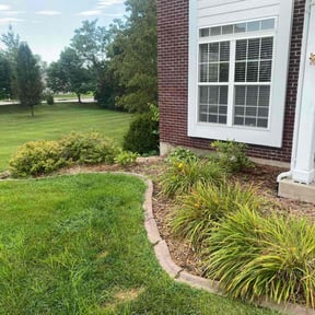 Bush Trimming by Straight to the point lawn reviewed on August 20, 2025