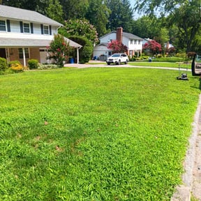 landscaping by Richeasouhait, LLC reviewed on August 15, 2025
