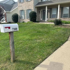Bush Trimming by Sims Family Lawncare Service reviewed on August 20, 2025