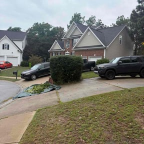 Bush Trimming by F.T. Lawn Care &amp;Landscaping reviewed on October 24, 2025