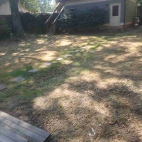 Leaf Removal by Thomas Lawn reviewed on September 16, 2025