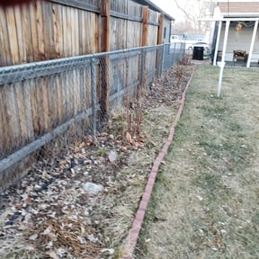 Bush Trimming by Shade Tree Landscaping reviewed on August 17, 2025