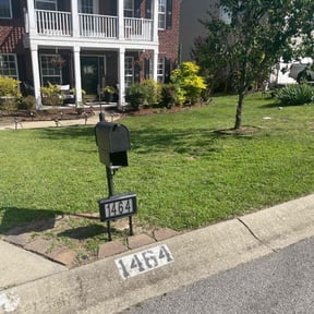 grass maintenance by She-power reviewed on April 6, 2025