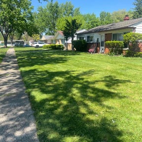 gardening service by Sam's lawn care reviewed on August 15, 2025