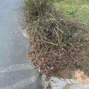 Bush Trimming by EP LAWNCARE LLC reviewed on March 5, 2026