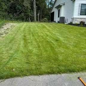 gardening service by Verified Business Services LLC reviewed on August 16, 2025