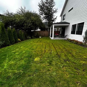 grass maintenance by Mckinney Lawn reviewed on October 6, 2023