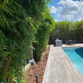 Bush Trimming by Lawn Care Solutions  reviewed on October 24, 2025