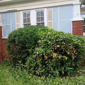 Bush Trimming by Westsidelawncareservicesllc reviewed on May 25, 2026