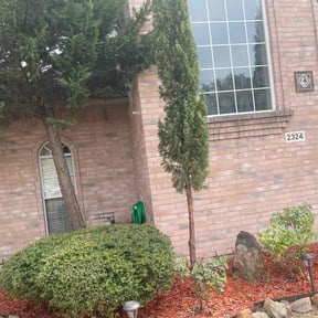 Bush Trimming by Burgeons Landscaping & Lawn Care Inc. reviewed on August 14, 2025