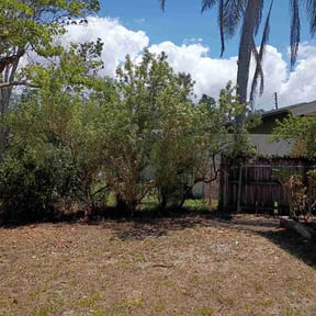 Bush Trimming by Emerald Outdoor Services LLC reviewed on April 21, 2026
