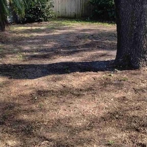 Leaf Removal by Yeager Lawn &amp; Landscape reviewed on October 2, 2025