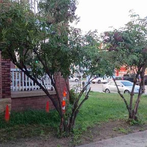 Leaf Removal by Excellence construction and maintenance reviewed on August 31, 2026