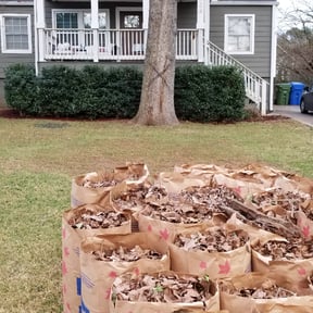 Bush Trimming by Moreno landscaping reviewed on August 15, 2025