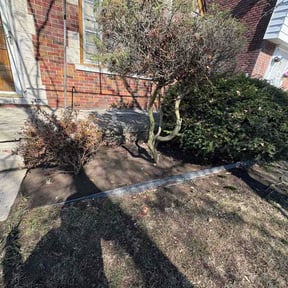 Leaf Removal by Casa Verde Customs reviewed on April 7, 2026