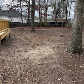 Leaf Removal by Gina's Lawn Service reviewed on March 3, 2026