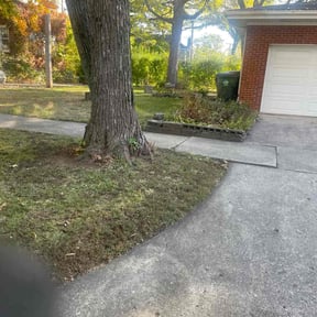 Leaf Removal by ANDES PRO SERVICES LLC reviewed on November 8, 2025