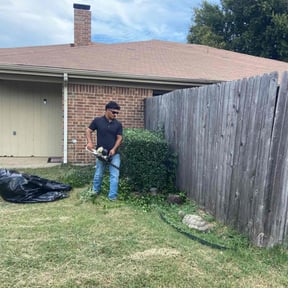Bush Trimming by Wrights landscaping reviewed on June 16, 2025