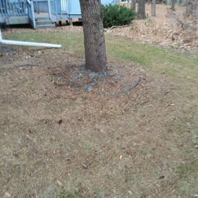 Leaf Removal by Hogans lawncare reviewed on September 6, 2025