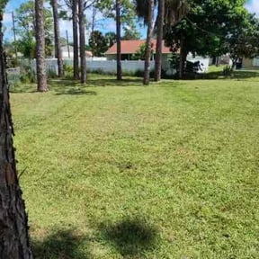 grass maintenance by MVP Lawn & Landscaping reviewed on October 28, 2021
