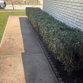 Bush Trimming by Winter Lawn Care reviewed on May 13, 2026