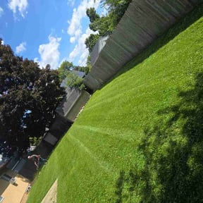 landscape maintenance by Cricket Lawn and Landscaping reviewed on August 16, 2025