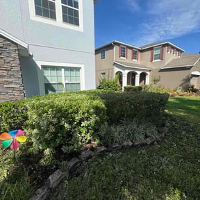 Bush Trimming by Calfa’s yard work &amp; more reviewed on October 19, 2025