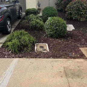 Bush Trimming by FreshStartMHC reviewed on April 11, 2026