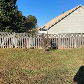 Bush Trimming by Cardinal lawn care and maintenance LLC reviewed on October 19, 2025