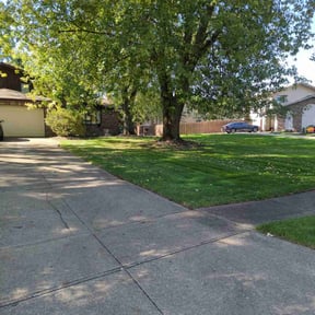 yard work by Jose&Jose Landscaping reviewed on August 19, 2025