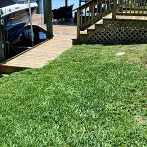 yard maintenance by Lawn Barber reviewed on December 31, 2025