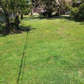 lawn maintenance by Lawn Impression reviewed on May 10, 2024