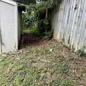 Bush Trimming by Verified Business Services LLC reviewed on August 17, 2025