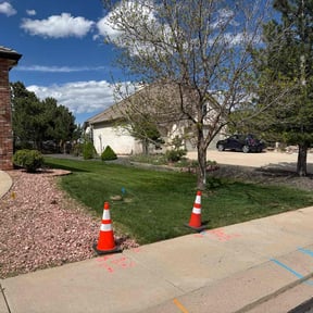 yard care by Fosterslawn and aeration LLC reviewed on November 23, 2025