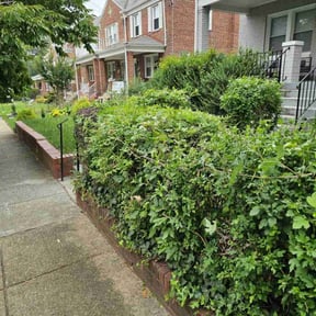 Bush Trimming by Equip 1 reviewed on August 19, 2025
